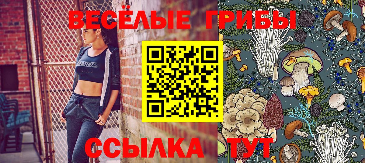Псилоцибиновые грибы GOLDEN TEACHER Семёнов